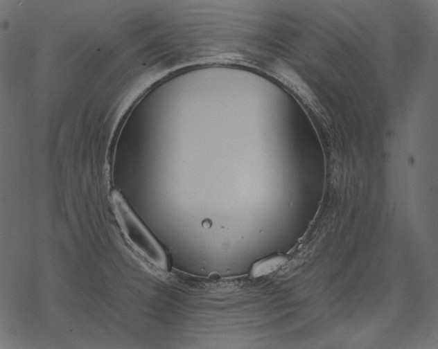 X0000077281332200611031516