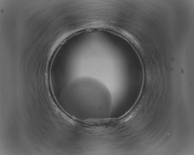 X0000077281334200611031516