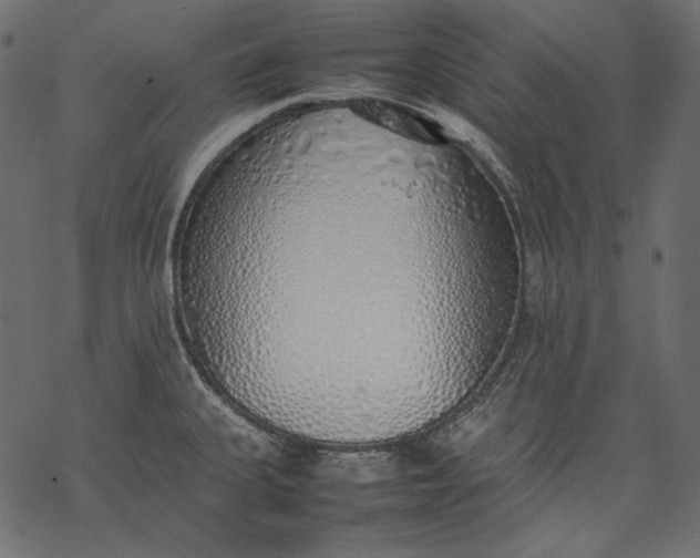 X0000077281335200611031516