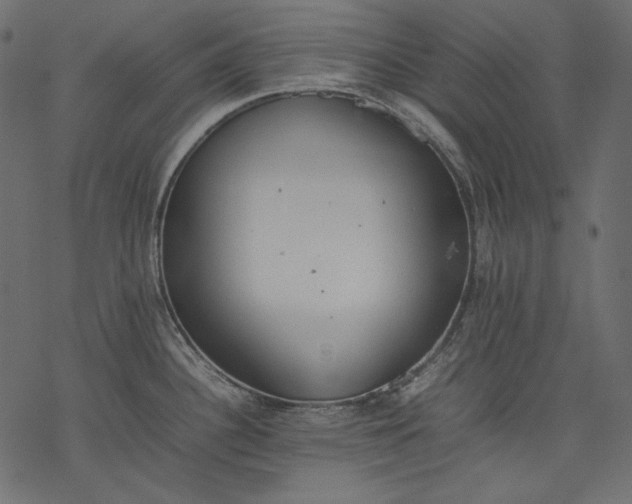 X0000077281340200611031516