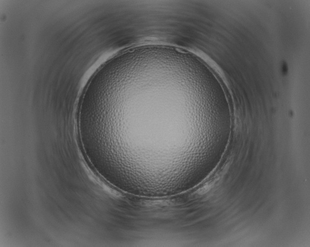 X0000077281341200611031516