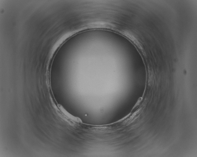 X0000077281342200611031516