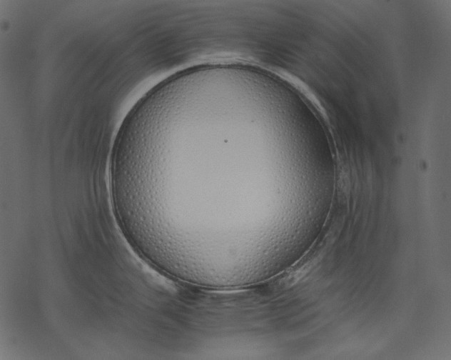 X0000077281343200611031516