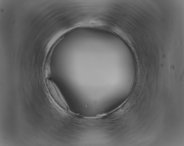 X0000077281344200611031516