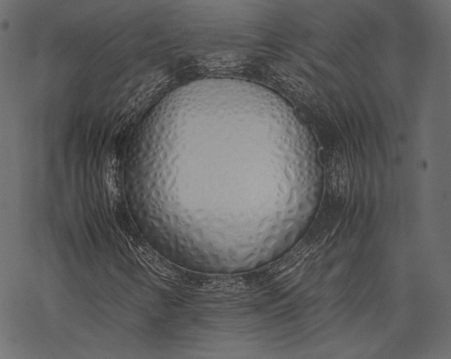 X0000077281346200611031515