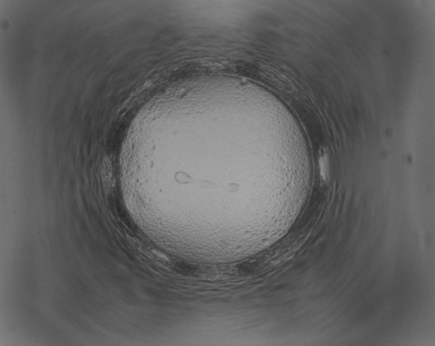 X0000077281347200611031515