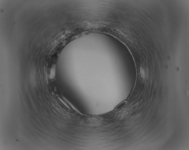 X0000077281348200611031515