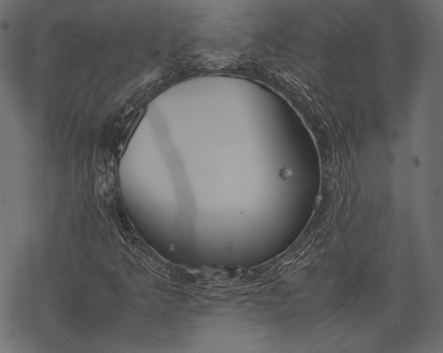 X0000077281349200611031515