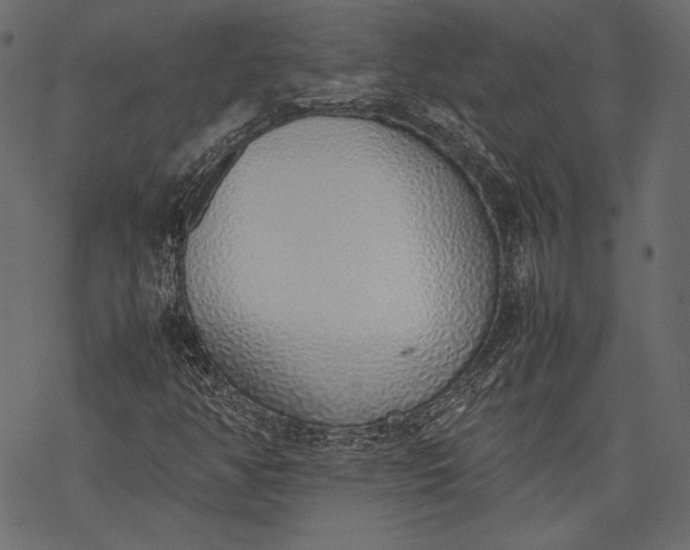 X0000077281350200611031515