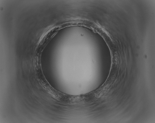 X0000077281352200611031515