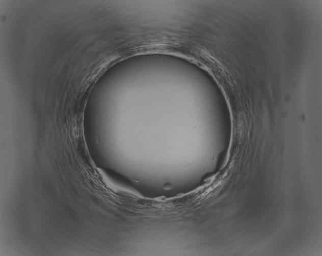 X0000077281353200611031515