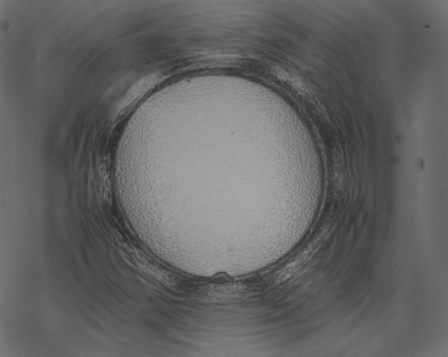 X0000077281354200611031515