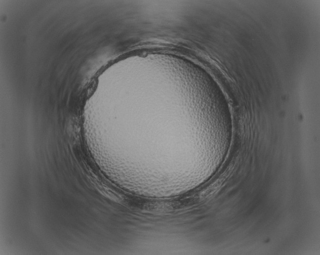 X0000077281355200611031515