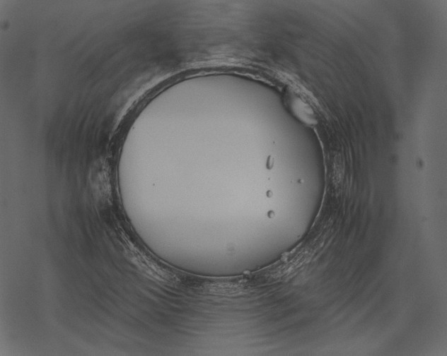 X0000077281356200611031515