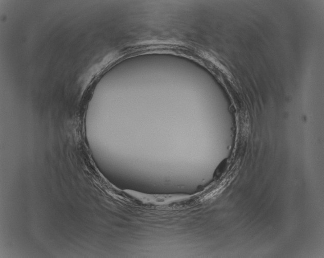 X0000077281357200611031515