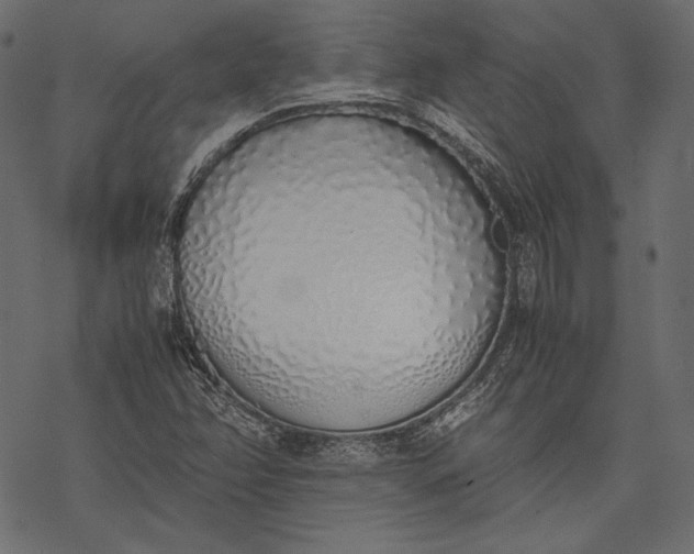 X0000077281358200611031515