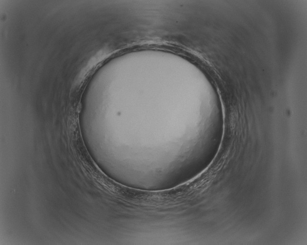 X0000077281359200611031515