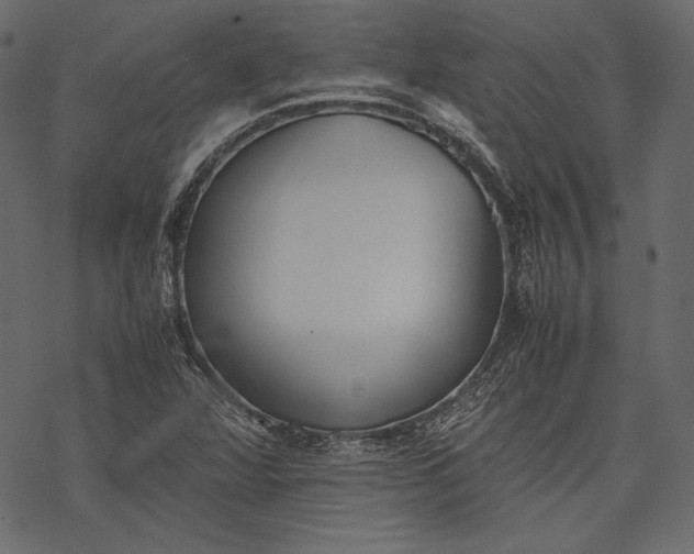 X0000077281360200611031515