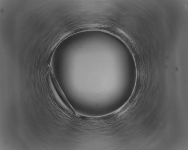 X0000077281361200611031515