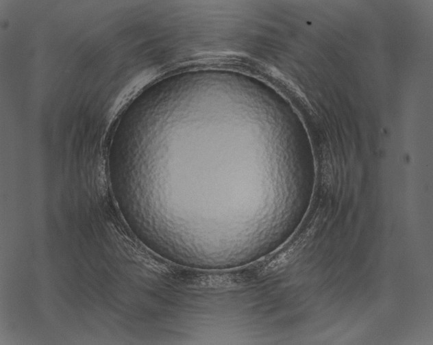 X0000077281362200611031515