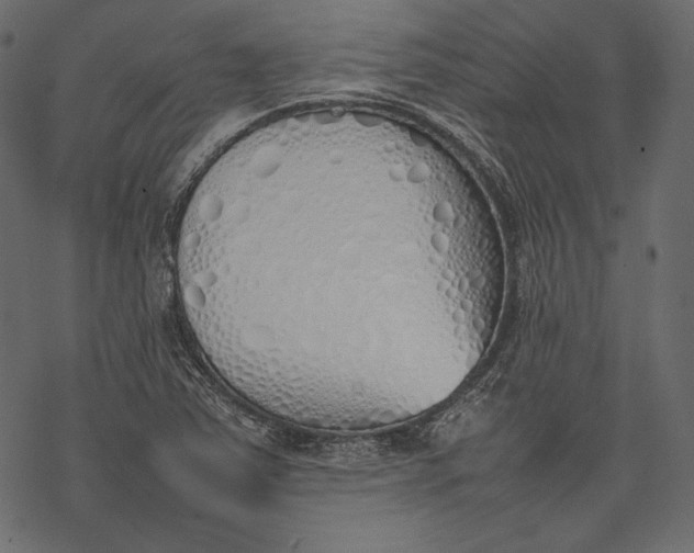 X0000077281363200611031515