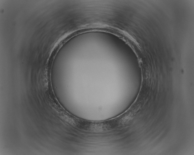 X0000077281364200611031515