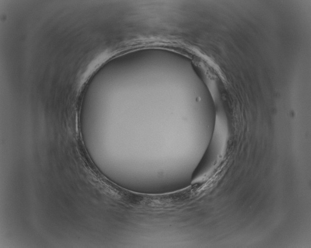 X0000077281365200611031515