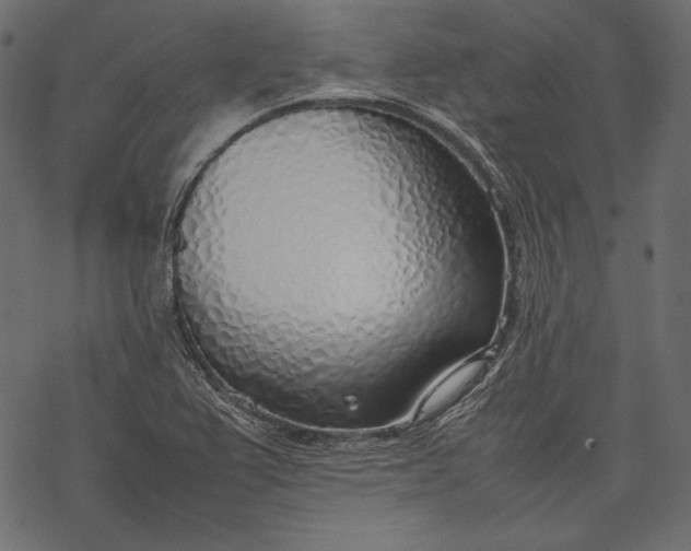 X0000077281367200611031515