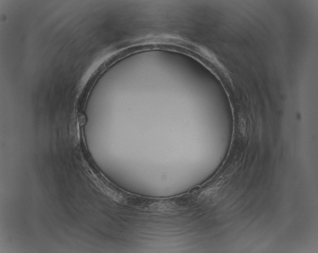 X0000077281368200611031515