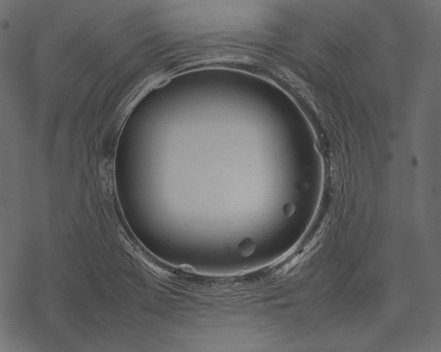 X0000077281369200611031515