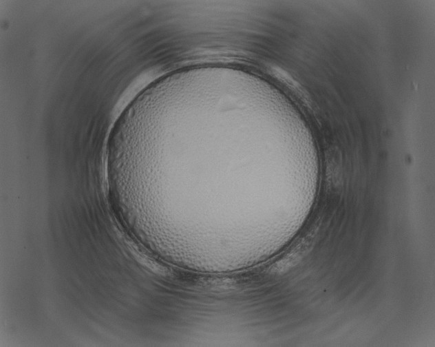 X0000077281370200611031515