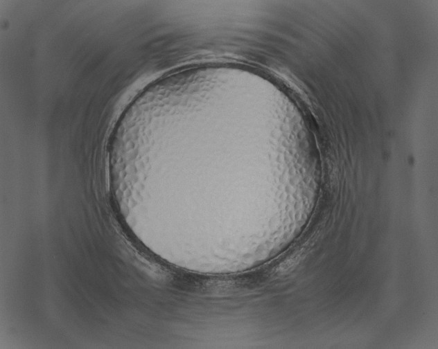 X0000077281371200611031514