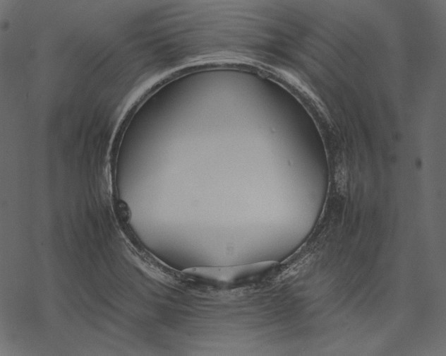 X0000077281372200611031514