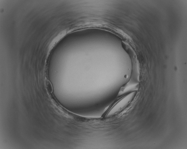 X0000077281373200611031514