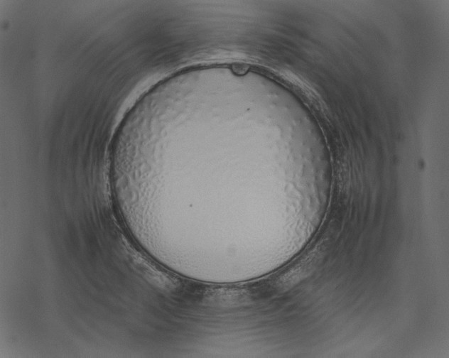 X0000077281374200611031514