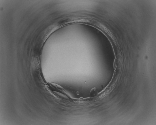 X0000077281377200611031514