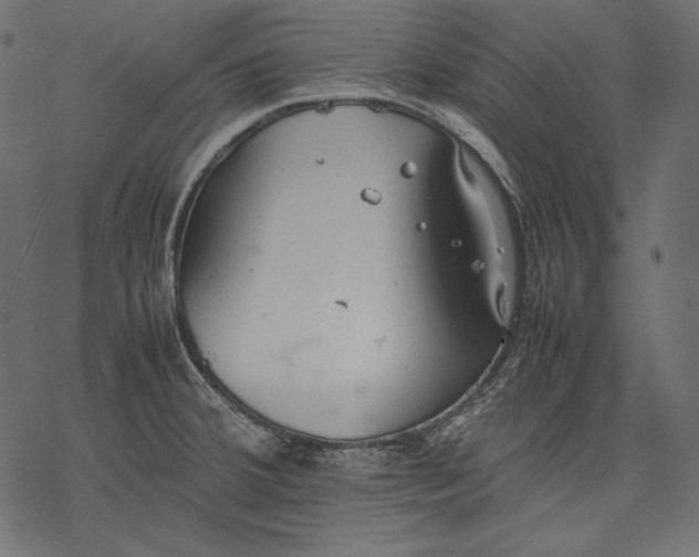 X0000077281380200611031514