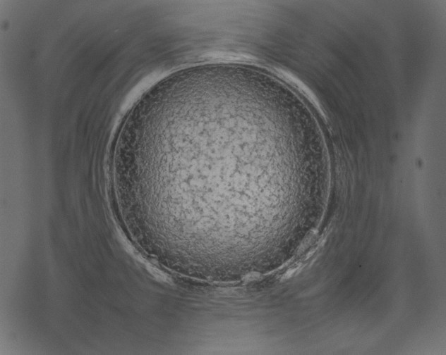 X0000077281381200611031514