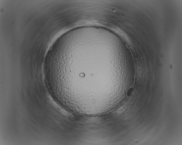 X0000077281382200611031514