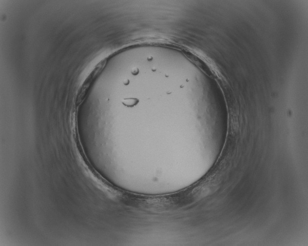 X0000077281383200611031514