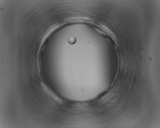 X0000077281384200611031514