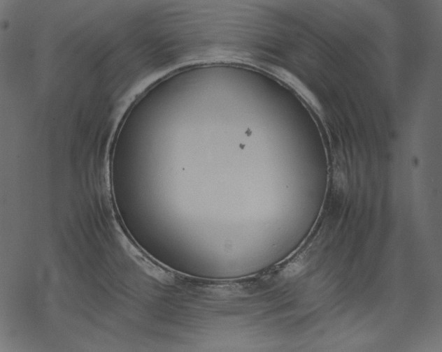 X0000077281388200611031514