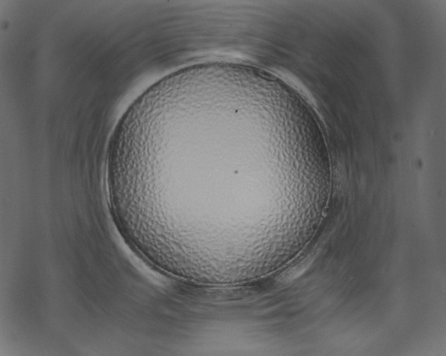 X0000077281391200611031514