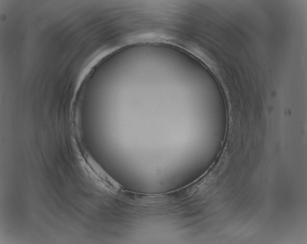 X0000077281392200611031514