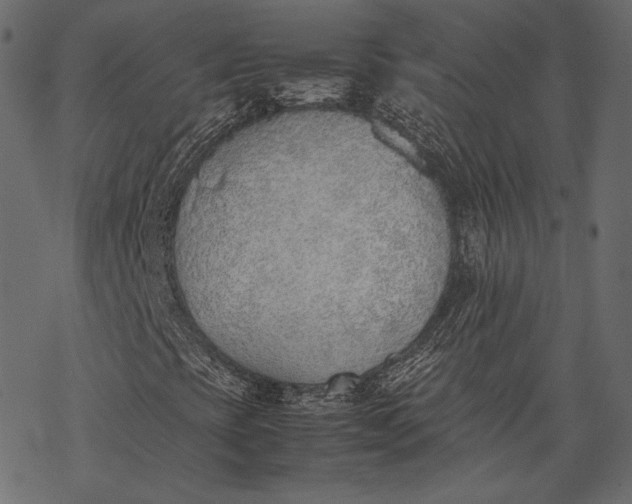 X0000077281393200611031513