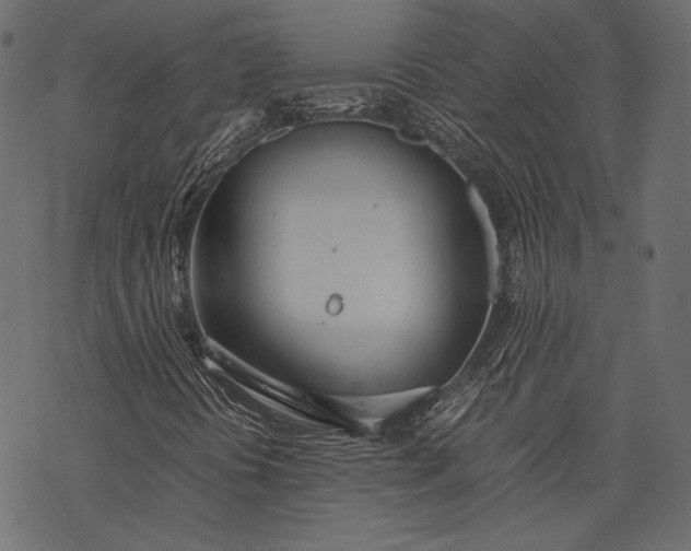 X0000077281394200611031513