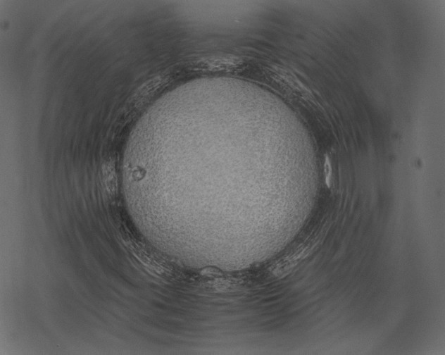 X0000077281395200611031513