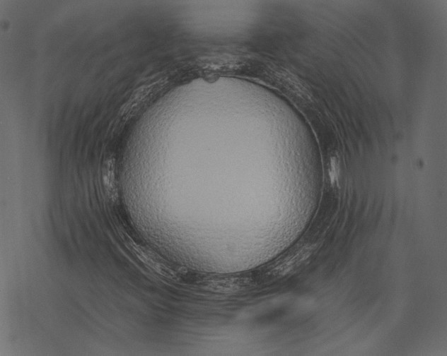 X0000077281396200611031513