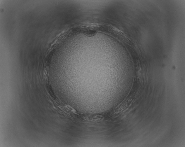 X0000077281397200611031513