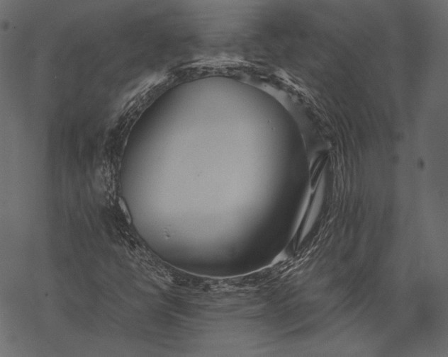 X0000077281398200611031513